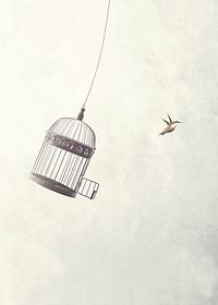 Flying Towards Freedom-3