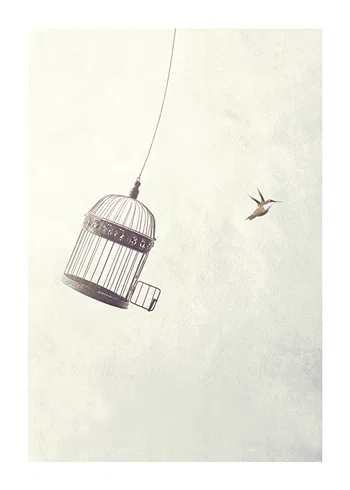 Poster Flying Towards Freedom
