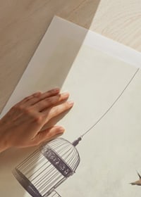 Illustration av fågel som flyger från öppen bur mot ljus bakgrund-9