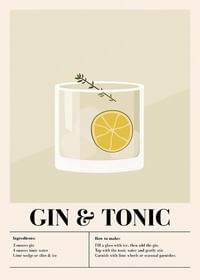 Gin Tonic Cocktail-1