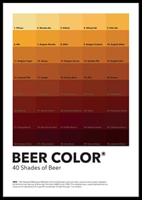 Graphic color chart with 40 beer types in shades from light to dark-0