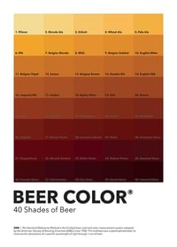 40 Shades Of Beer-1