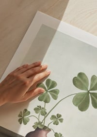 Illustration of four-leaf clover plant in pink vase against light background-9