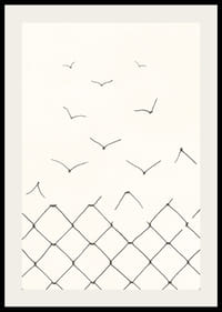 Black and white line drawing of broken fence becoming birds-2