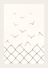 Black and white line drawing of broken fence becoming birds-3