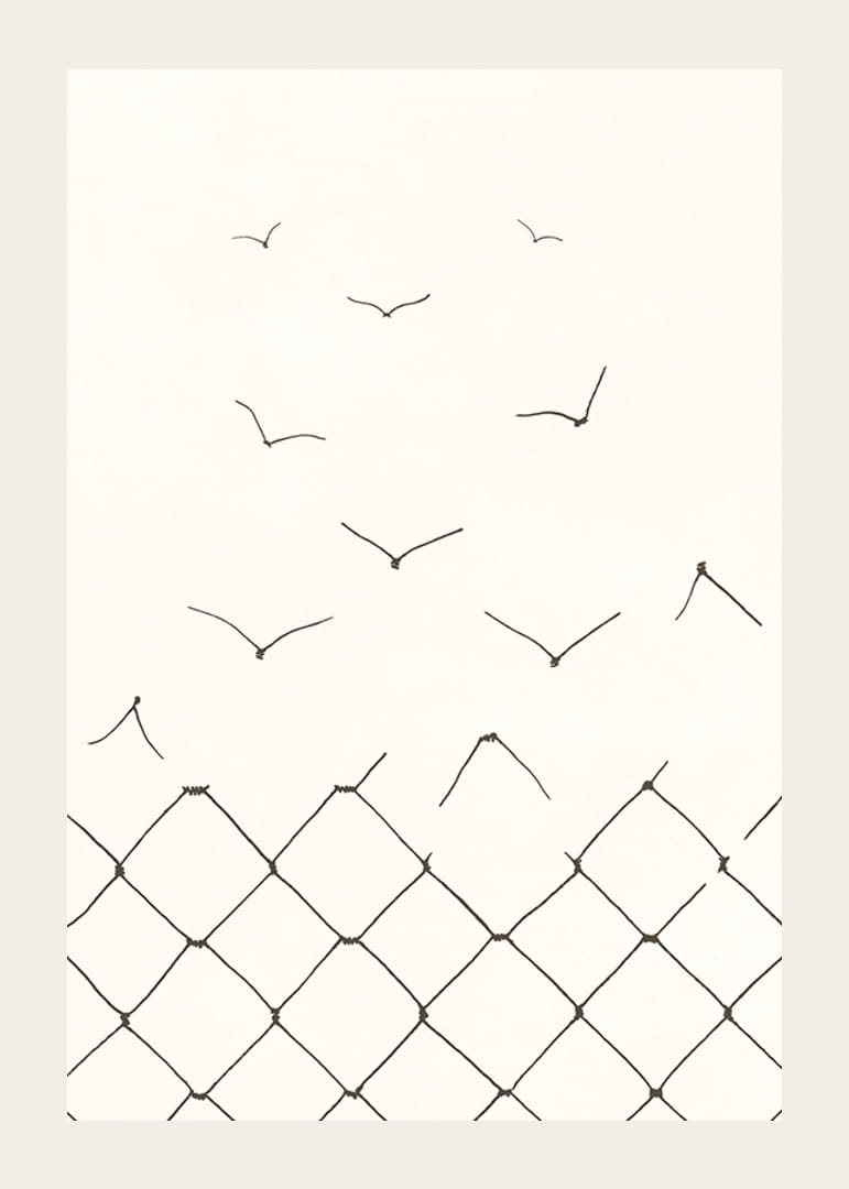 Black and white line drawing of broken fence becoming birds-12