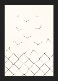 Black and white line drawing of broken fence becoming birds-5