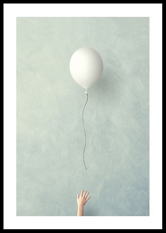 Balloon Fly Free-12