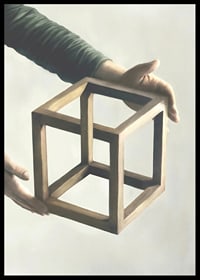 Illustration of two hands holding an impossible wooden cube-6