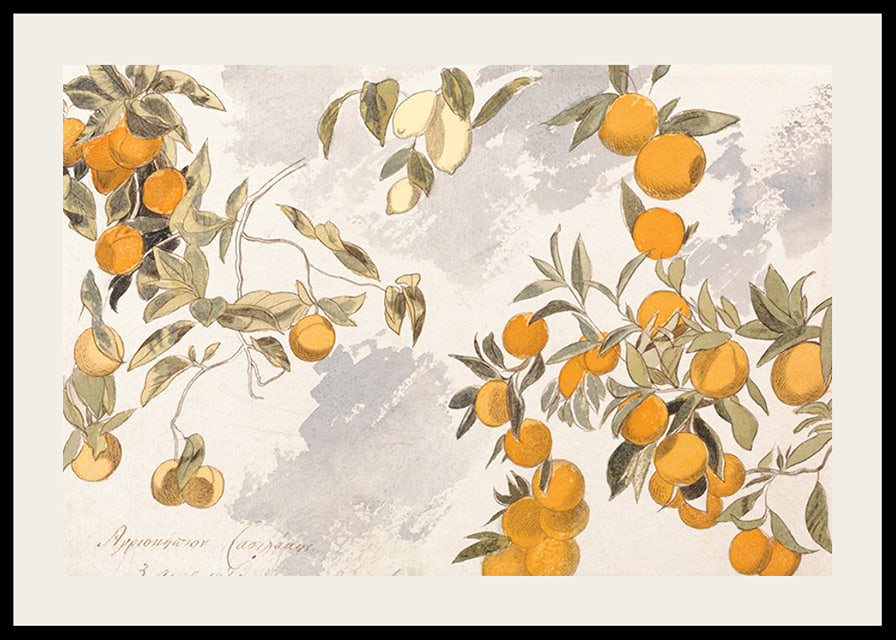 Fruit Trees By Edward Lear-12