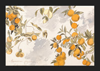 Fruit Trees By Edward Lear-7