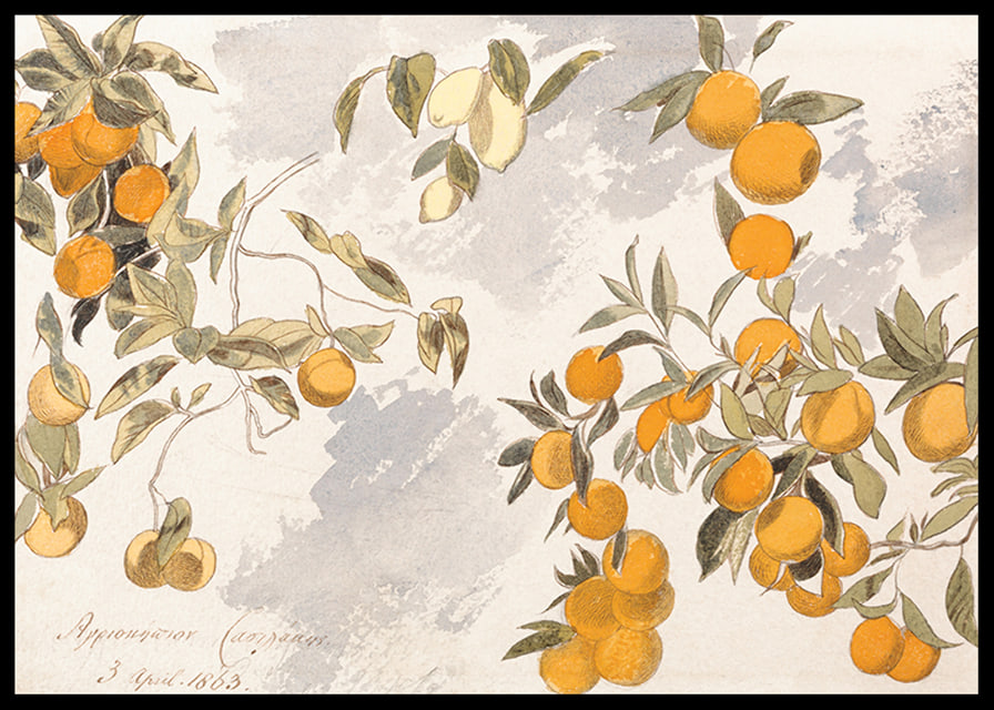 Fruit Trees By Edward Lear-12