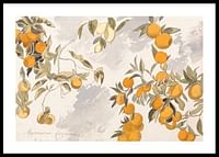 Fruit Trees By Edward Lear-0