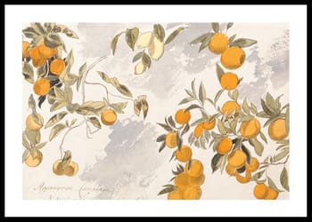 Poster Fruit Trees By Edward Lear
