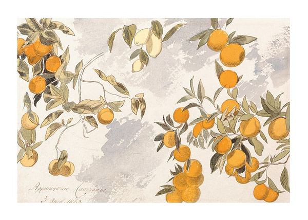 Plagát Fruit Trees By Edward Lear