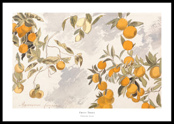 Poster Fruit Trees By Edward Lear