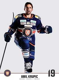 Växjö Lakers Amil Krupic #19-3