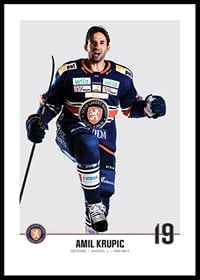 Växjö Lakers Amil Krupic #19-0