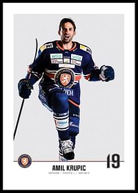 Växjö Lakers Amil Krupic #19-0