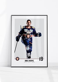 Växjö Lakers Amil Krupic #19-4