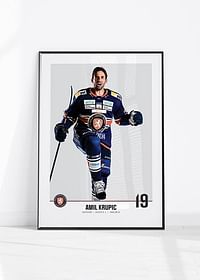 Växjö Lakers Amil Krupic #19-4