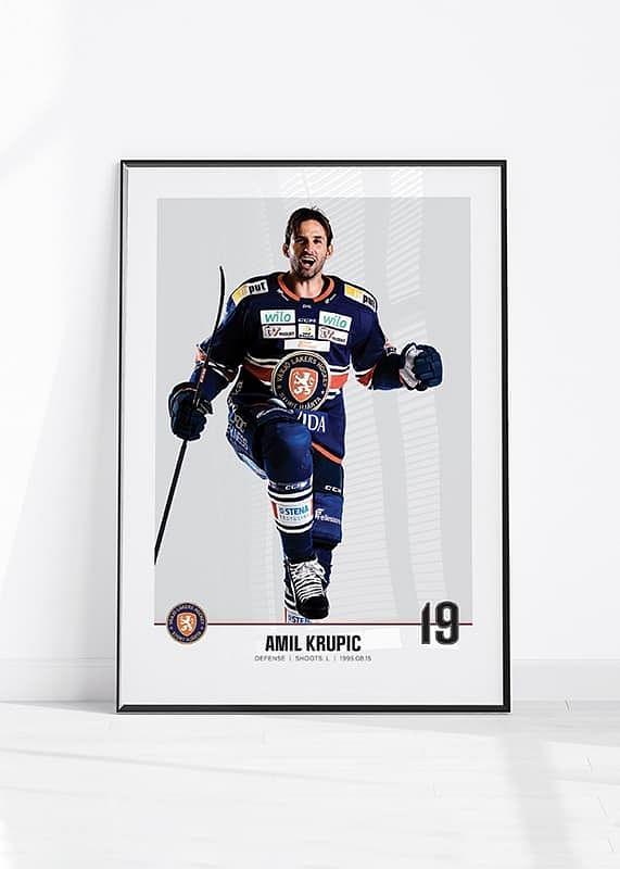 Växjö Lakers Amil Krupic #19-12