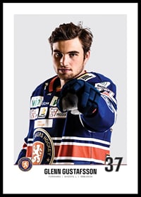 Växjö Lakers Glenn Gustafsson #37-0