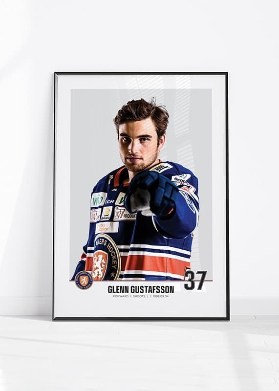 Växjö Lakers Glenn Gustafsson #37-12