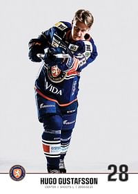 Växjö Lakers Hugo Gustafsson #28-3