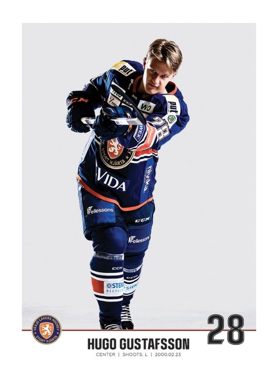 Poster Hugo Gustafsson #28