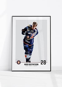 Växjö Lakers Hugo Gustafsson #28-4