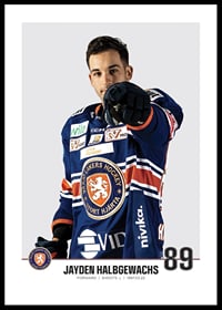 Växjö Lakers Jayden Halbgewachs #89-0