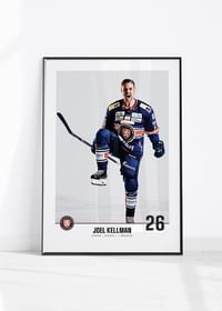Växjö Lakers Joel Kellman #26-4