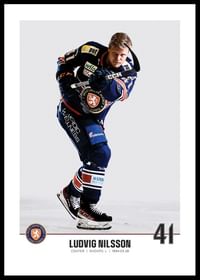 Växjö Lakers Ludvig Nilsson #41-0