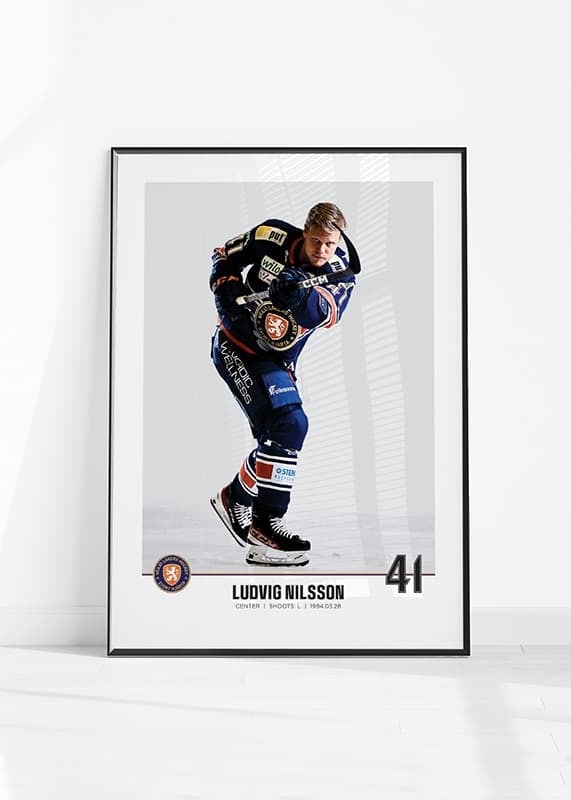 Växjö Lakers Ludvig Nilsson #41-12