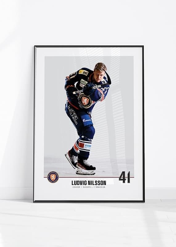 Växjö Lakers Ludvig Nilsson #41-12