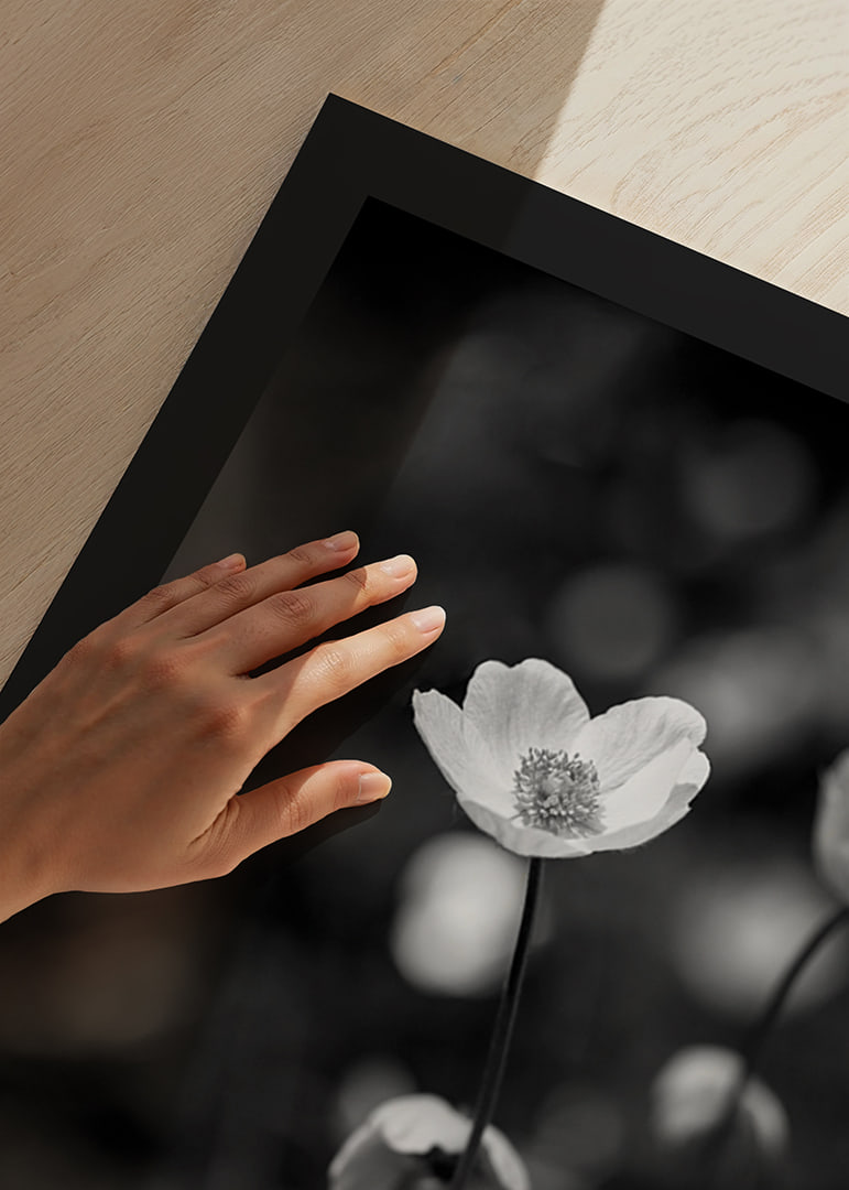 Black and white close-up of flower with soft blurred background-12