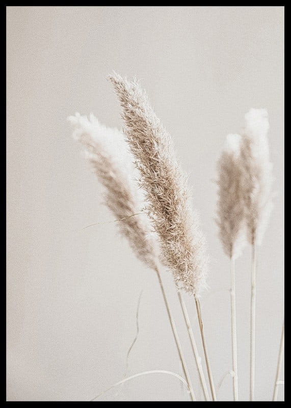 Close-up of dried reed straws in beige tones, photographic-12