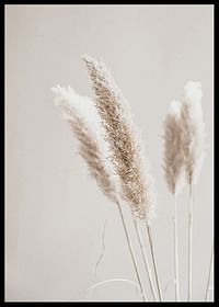 Boho Dried In Nature No6-2