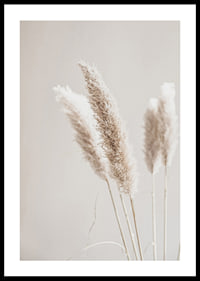 Close-up of dried reed straws in beige tones, photographic-0
