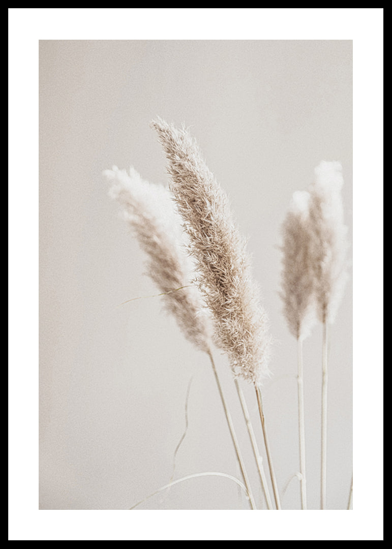 Close-up of dried reed straws in beige tones, photographic-12