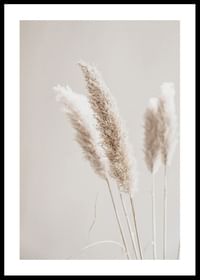 Boho Dried In Nature No6-0