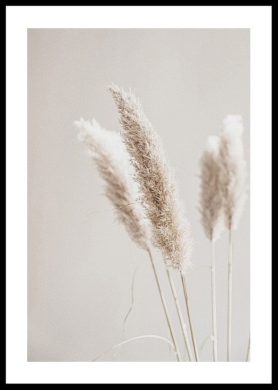 Boho Dried In Nature No6-12