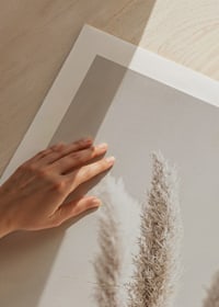 Close-up of dried reed straws in beige tones, photographic-9