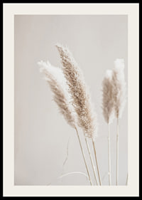 Close-up of dried reed straws in beige tones, photographic-2