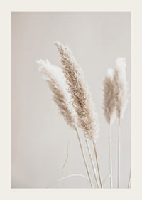 Close-up of dried reed straws in beige tones, photographic-3