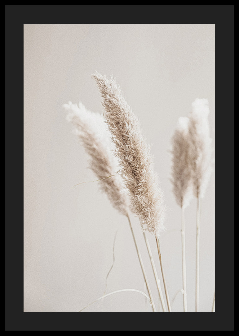 Close-up of dried reed straws in beige tones, photographic-12