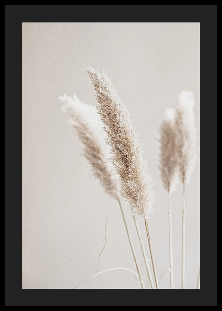 Primo piano di cannucce di canna secche nei toni del beige, fotografico-12