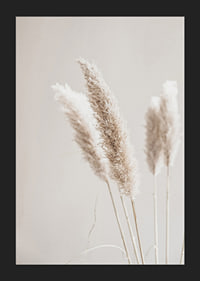 Close-up of dried reed straws in beige tones, photographic-5