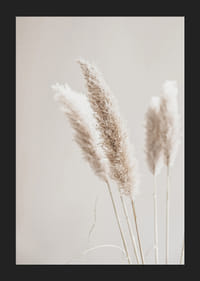 Primo piano di cannucce di canna secche nei toni del beige, fotografico-5